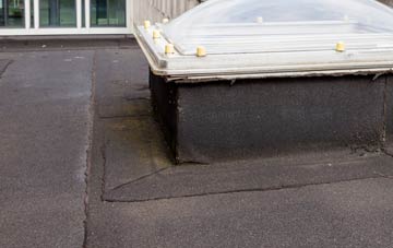 disadvantages of Pond Street flat roofs