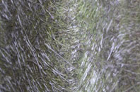 Pond Street fibreglass roof work